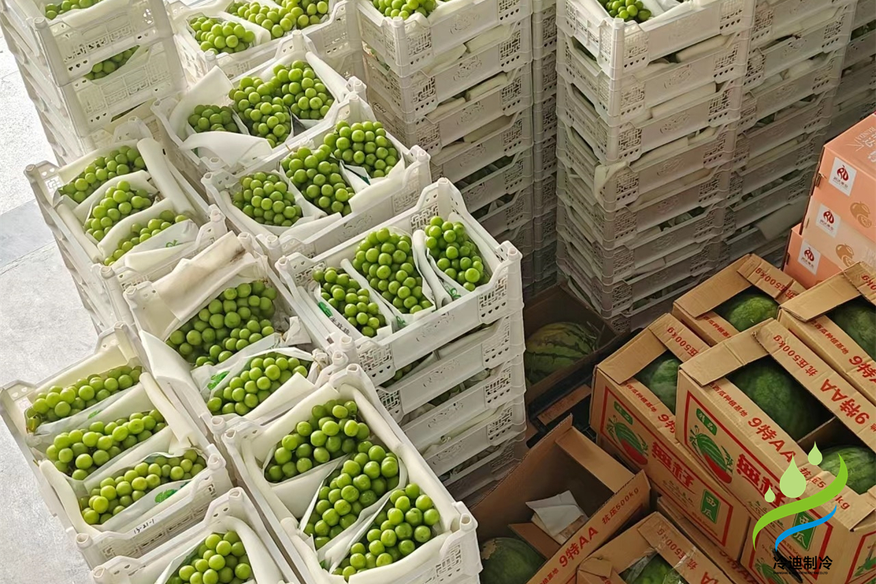 葡萄保鮮冷庫(kù)